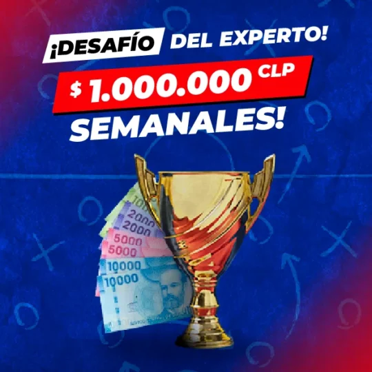 Desafío del experto