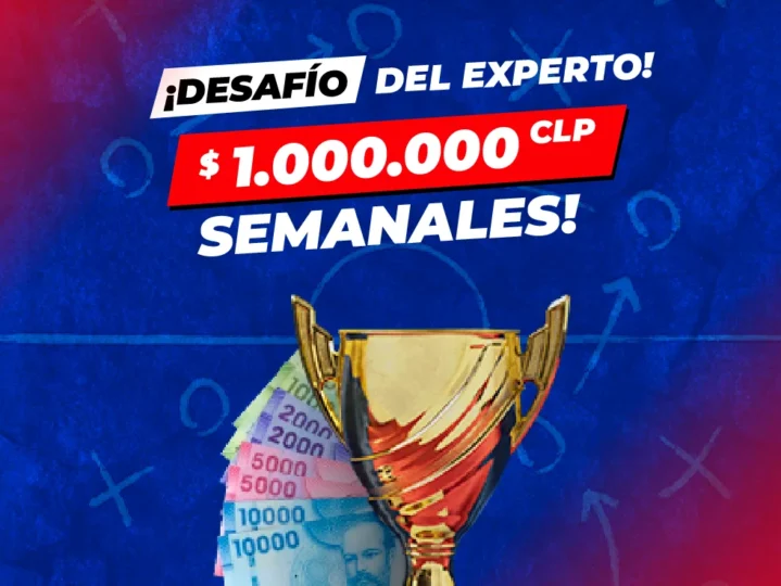 Desafío del experto
